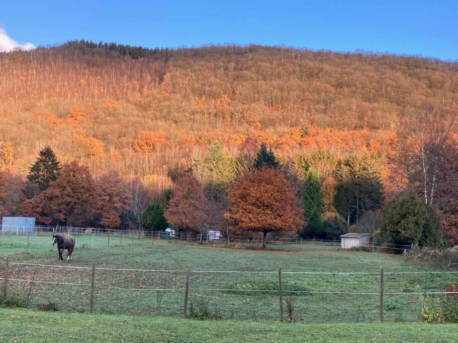 Vila La Bergerie Thilay Exteriér fotografie